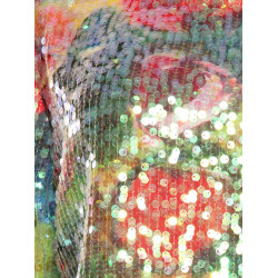T-Shirt Twin Set multi